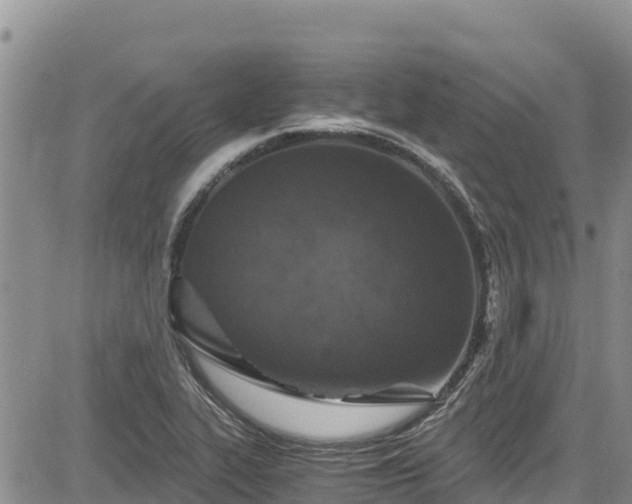 X0000084571319200703021439