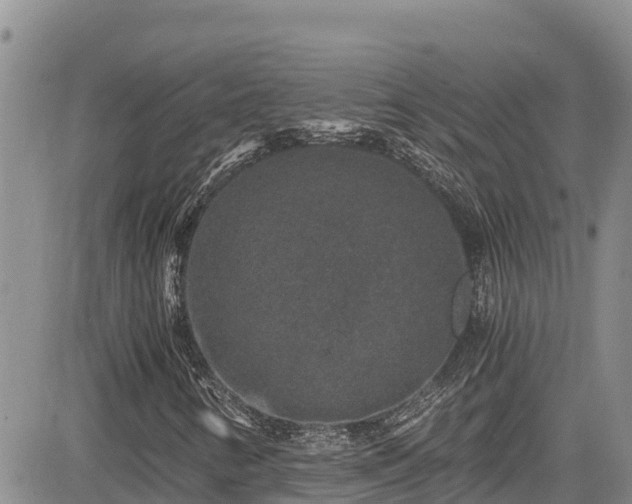 X0000084571346200703021439