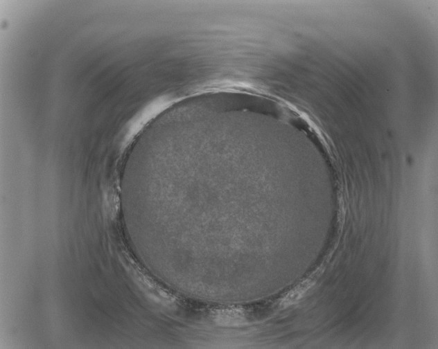 X0000084571363200703021438