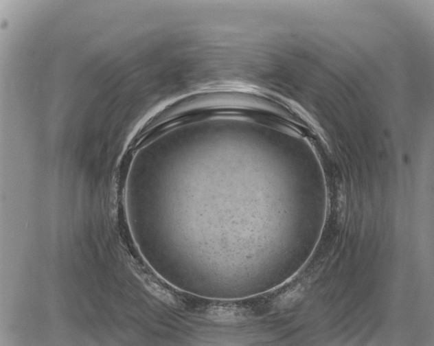 X0000084571364200703021438