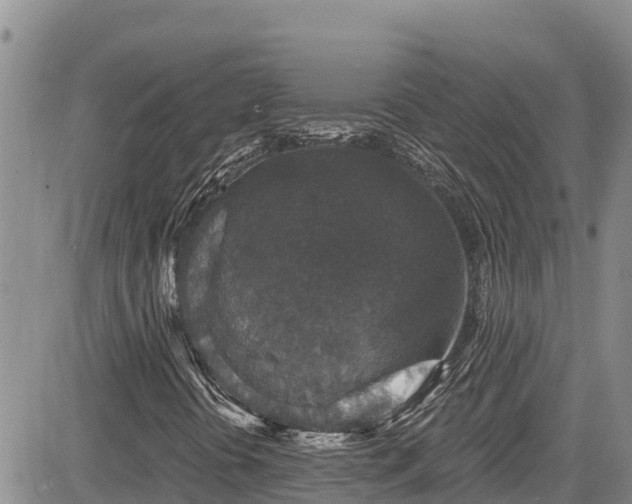 X0000084571394200703021437