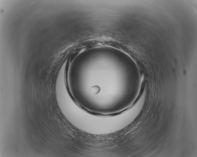 X0000084571398200703021437