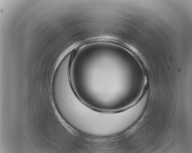 X0000084571426200703021438