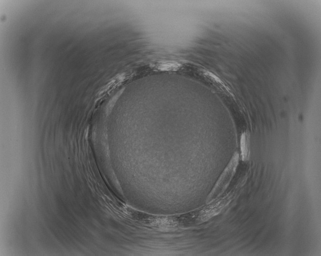 X0000084571443200703021437