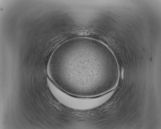 X0000084571444200703021437