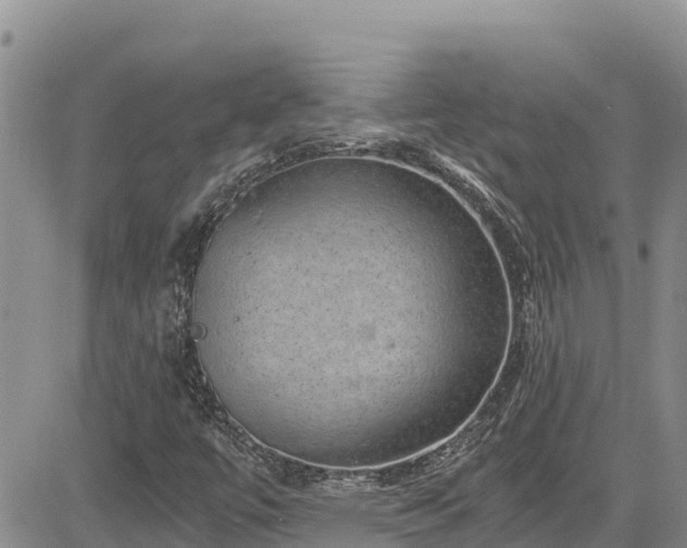 X0000084571447200703021437