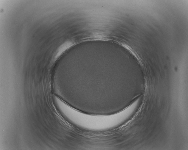 X0000084571450200703021437