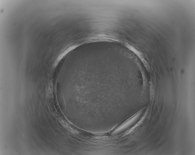 X0000084571453200703021437