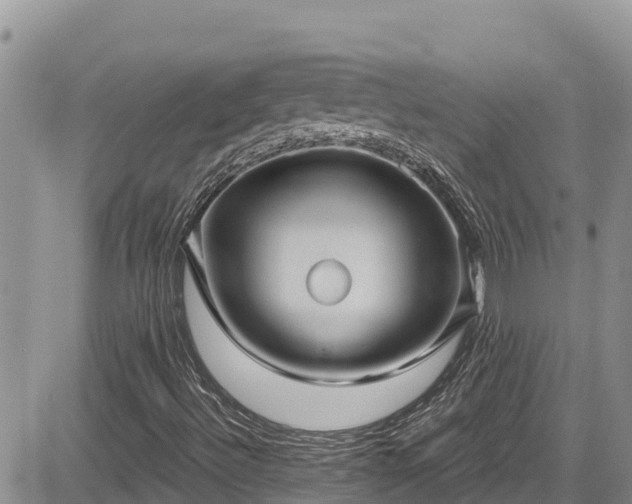 X0000084571492200703021435