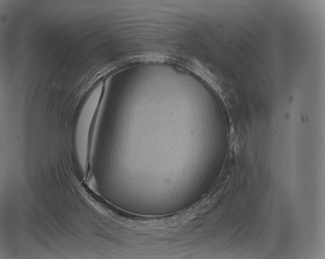 X0000084570013200703091823