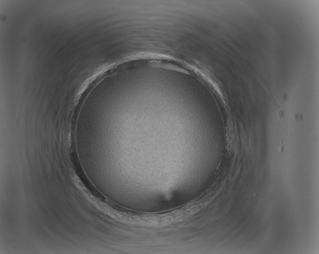 X0000084570015200703091823
