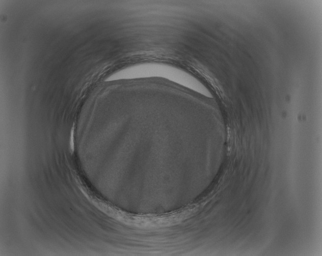 X0000084570022200703091823