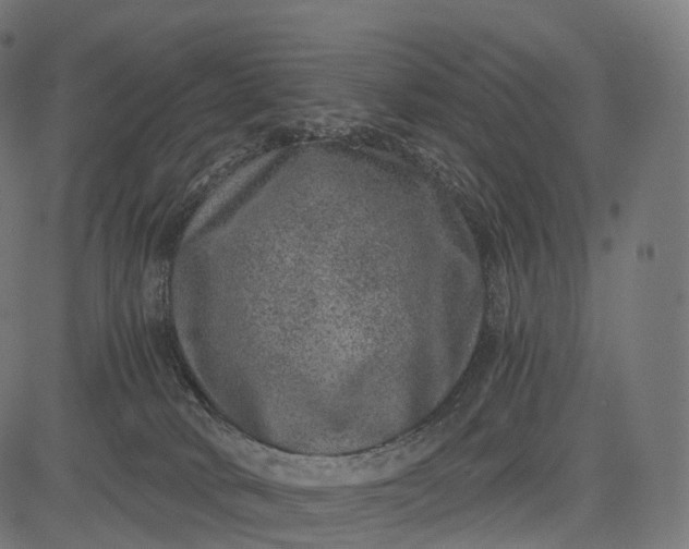 X0000084570034200703091822