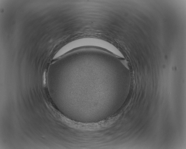 X0000084570042200703091822