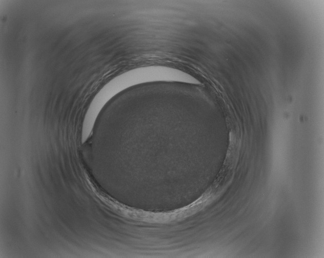X0000084570048200703091822