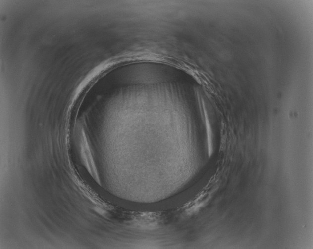 X0000084570056200703091821