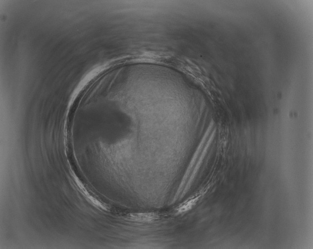 X0000084570102200703091821