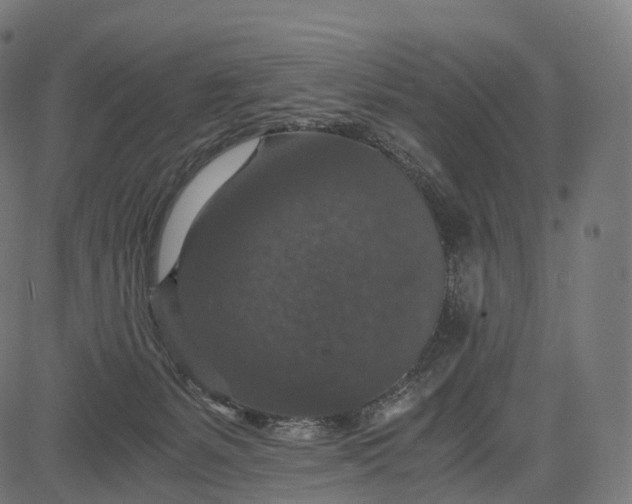 X0000084570127200703091821