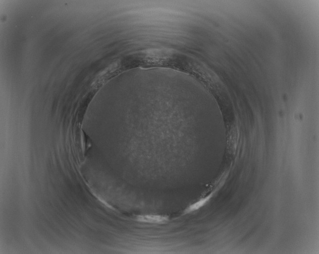 X0000084570137200703091821