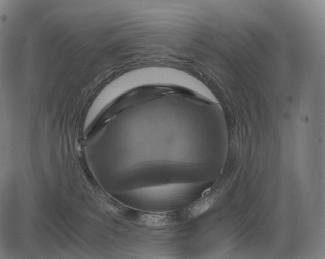 X0000084570139200703091821