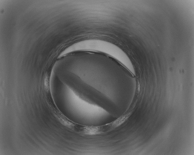 X0000084570143200703091820