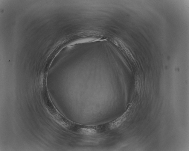 X0000084570167200703091820