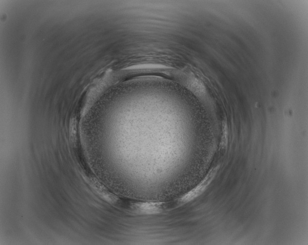 X0000084570184200703091820