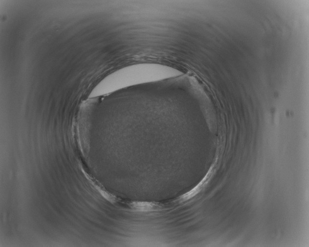X0000084570192200703091820