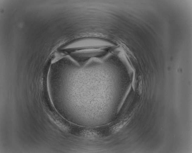 X0000084570207200703091819