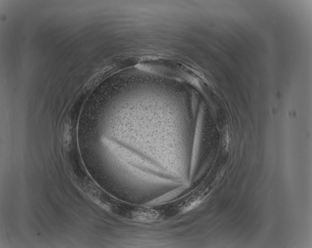 X0000084570215200703091819