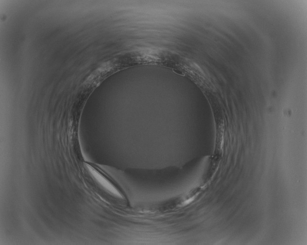 X0000084570223200703091819