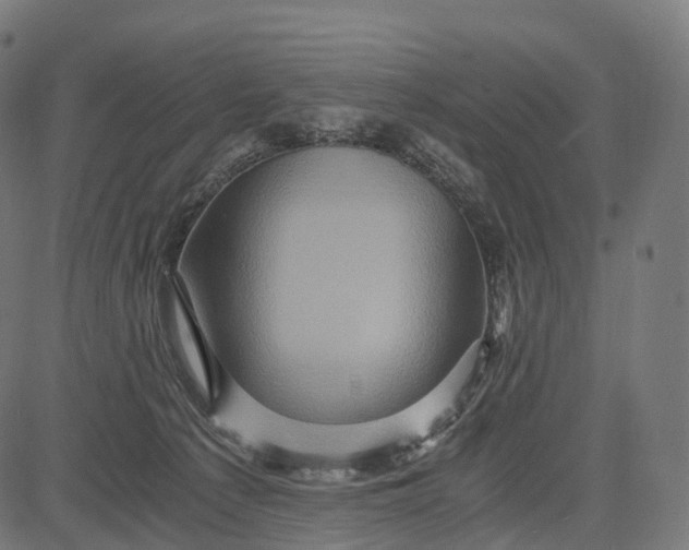 X0000084570225200703091819