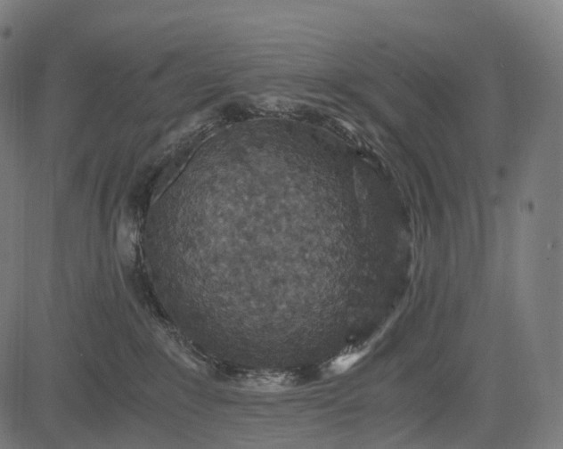 X0000084570235200703091819