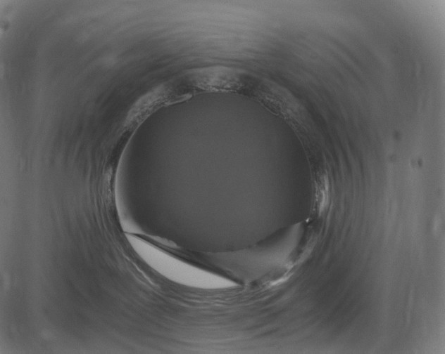 X0000084570239200703091819