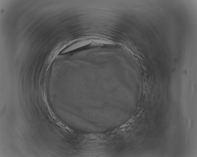 X0000084570241200703091818