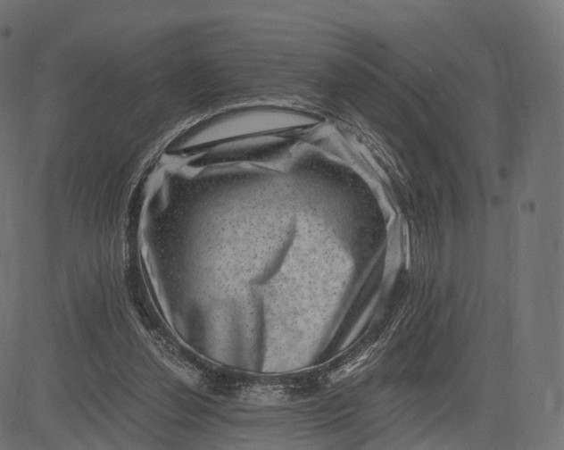 X0000084570252200703091818