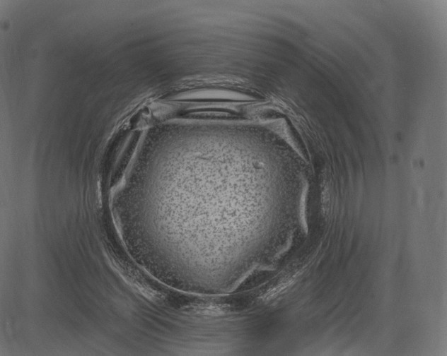 X0000084570254200703091818