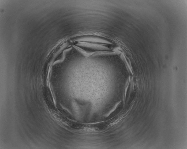 X0000084570256200703091818