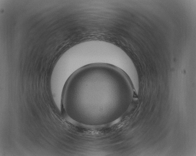 X0000084570276200703091819