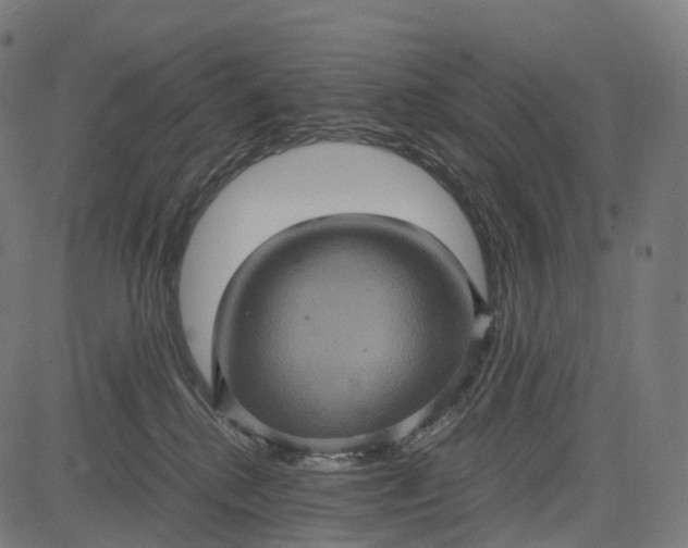 X0000084570280200703091819