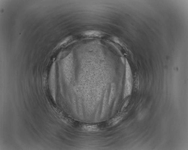 X0000084570283200703091819