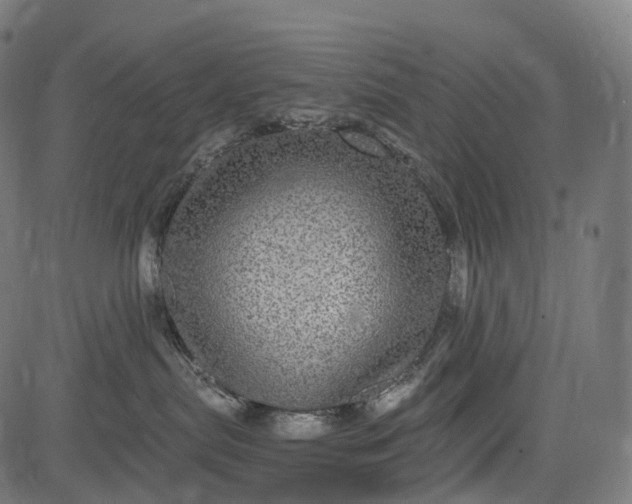X0000084570287200703091819
