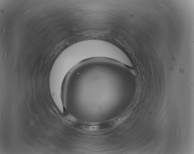 X0000084570288200703091819