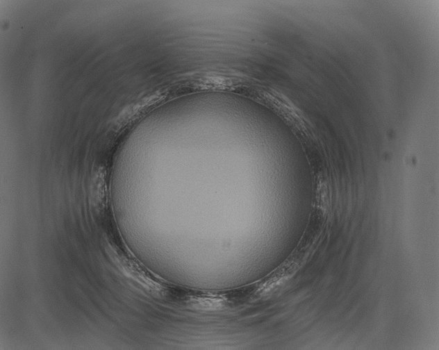 X0000084570318200703091818