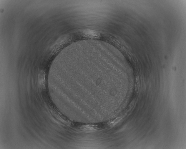 X0000084570320200703091817