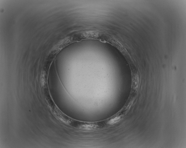X0000084570323200703091817