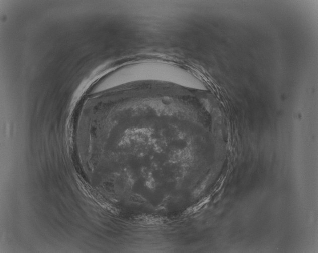 X0000084570343200703091817