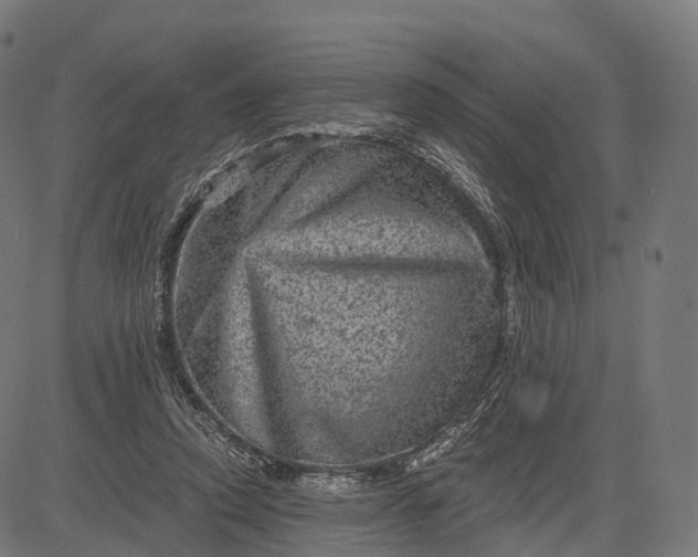 X0000084570354200703091817