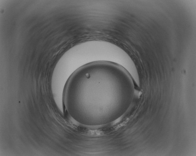 X0000084570376200703091817