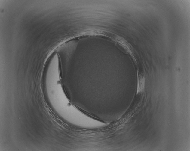 X0000084570387200703091816
